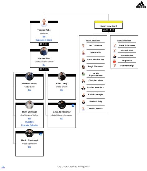 adidas organizational structure 2021.